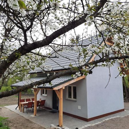 Noclegi Rozanka Radomierz Exteriér fotografie