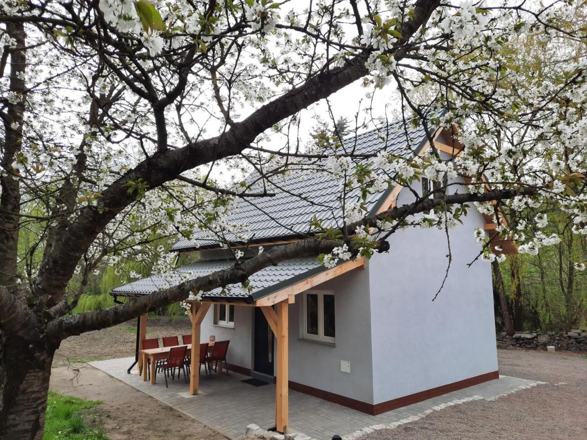 Noclegi Rozanka Radomierz Exteriér fotografie